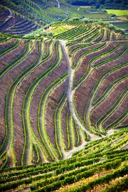 UNESCO<br>World Heritage Sites