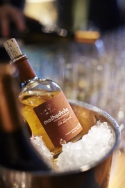 Taste Portugal Press Party – The Wines