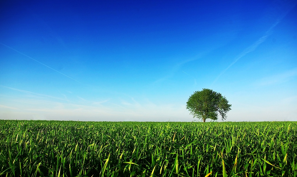 images/news/Taste Portugal 2014/15 Press Trip