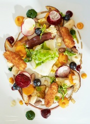 Textures on the Terrace