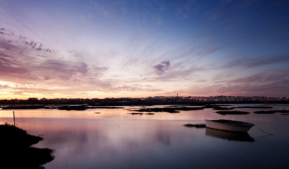 images/news/Clam Picking and Oyster Bank Experience
