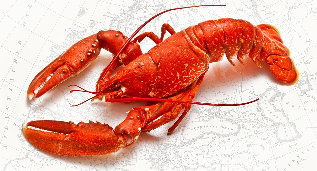 images/partners/Sea Treasures