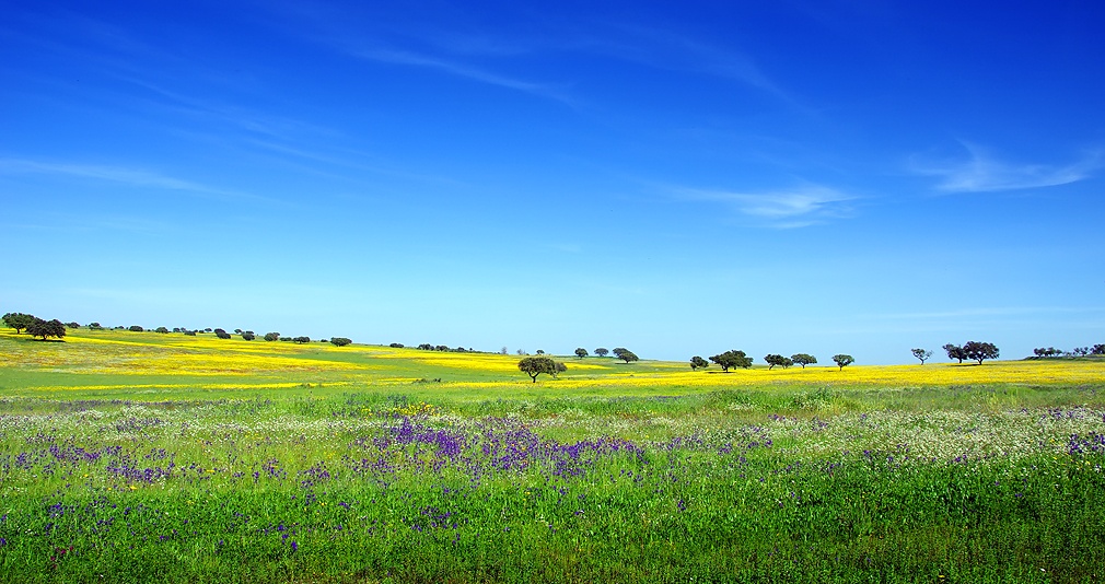 images/travel/The Flavour of Alentejo