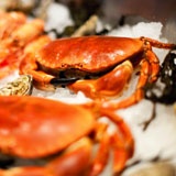 WB Oyster Bar