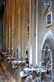 From Dão to the World